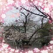 ヒメ日記 2026/03/25 16:13 投稿 つむぎ 変態プレイ専門店 マニアック女人館 本館