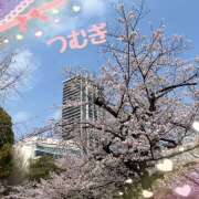 ヒメ日記 2026/03/31 19:12 投稿 つむぎ 変態プレイ専門店 マニアック女人館 本館