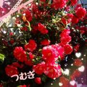 ヒメ日記 2026/04/02 10:54 投稿 つむぎ 変態プレイ専門店 マニアック女人館 本館