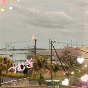 ヒメ日記 2026/04/05 15:21 投稿 つむぎ 変態プレイ専門店 マニアック女人館 本館