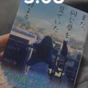 ヒメ日記 2025/04/17 11:45 投稿 望月　ひな Amateras～アマテラス～