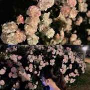 ヒメ日記 2025/08/21 11:00 投稿 望月　ひな Amateras～アマテラス～