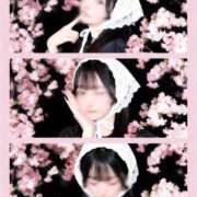 ヒメ日記 2026/05/21 15:01 投稿 望月　ひな Amateras～アマテラス～