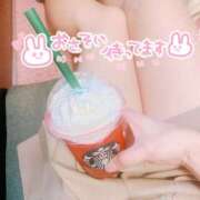 ヒメ日記 2025/04/28 15:12 投稿 もか 錦糸町ティラミス（シンデレラグループ）