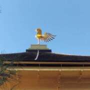 ヒメ日記 2025/01/15 10:00 投稿 小野塚　あや エテルナ京都