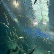 ヒメ日記 2025/11/16 12:30 投稿 小野塚　あや エテルナ京都