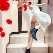 ヒメ日記 2025/11/14 13:44 投稿 ゆりこ 人妻美人館