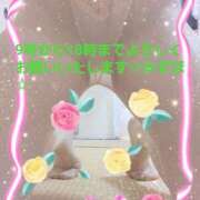 ヒメ日記 2024/12/19 09:21 投稿 みずほ 人妻美人館