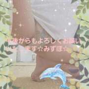 ヒメ日記 2025/03/19 15:09 投稿 みずほ 人妻美人館