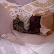 ヒメ日記 2026/02/20 09:28 投稿 のん アラカルト