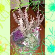 ヒメ日記 2025/01/06 09:54 投稿 山科るみ 五十路マダム愛されたい熟女たち 福山店(カサブランカグループ)