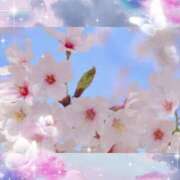 ヒメ日記 2025/03/30 10:06 投稿 山科るみ 五十路マダム愛されたい熟女たち 福山店(カサブランカグループ)