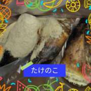 ヒメ日記 2025/04/14 18:16 投稿 山科るみ 五十路マダム愛されたい熟女たち 福山店(カサブランカグループ)