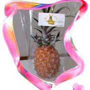 ヒメ日記 2025/09/01 00:24 投稿 山科るみ 五十路マダム愛されたい熟女たち 福山店(カサブランカグループ)