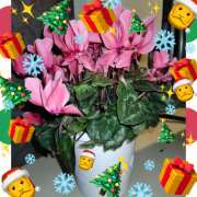 ヒメ日記 2025/12/24 07:48 投稿 山科るみ 五十路マダム愛されたい熟女たち 福山店(カサブランカグループ)