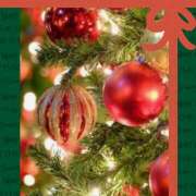 ヒメ日記 2025/12/25 00:22 投稿 山科るみ 五十路マダム愛されたい熟女たち 福山店(カサブランカグループ)