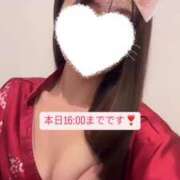 ヒメ日記 2025/05/25 14:17 投稿 あきは 三つ乱本館