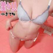 ヒメ日記 2025/02/16 10:01 投稿 ひいな ヌーベル・マリエ