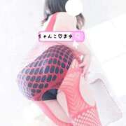 まゆ 今週、来週 西川口ちゃんこ