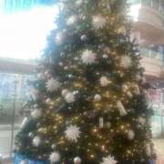 ヒメ日記 2024/12/24 15:20 投稿 な　な【大人女子】 Select(セレクト)