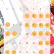 ヒメ日記 2024/12/31 17:09 投稿 な　な【大人女子】 Select(セレクト)