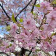 ヒメ日記 2026/02/23 10:22 投稿 な　な【大人女子】 Select(セレクト)