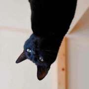 ヒメ日記 2024/12/30 17:31 投稿 ななせ【巨乳女子】 Select(セレクト)