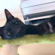 ヒメ日記 2025/06/23 19:02 投稿 ななせ【巨乳女子】 Select(セレクト)