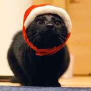 ヒメ日記 2025/12/27 18:03 投稿 ななせ【巨乳女子】 Select(セレクト)