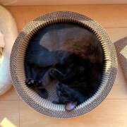 ヒメ日記 2026/01/01 10:58 投稿 ななせ【巨乳女子】 Select(セレクト)