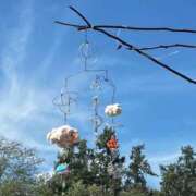 ヒメ日記 2025/11/23 22:39 投稿 ゆき G-SCANDAL