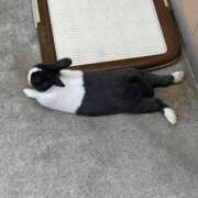 かよこ タイミング 神戸人妻花壇