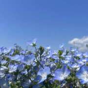 ヒメ日記 2025/05/13 07:24 投稿 りりん ラブハーレム(水戸)