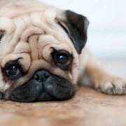 ヒメ日記 2025/09/10 17:07 投稿 りりん ラブハーレム(水戸)