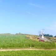 ヒメ日記 2025/10/09 14:26 投稿 りりん ラブハーレム(水戸)