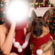 ヒメ日記 2025/12/24 11:45 投稿 りりん ラブハーレム(水戸)