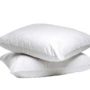 ヒメ日記 2026/01/22 11:20 投稿 りりん ラブハーレム(水戸)