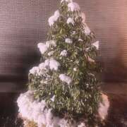 ヒメ日記 2026/02/09 17:04 投稿 りりん ラブハーレム(水戸)