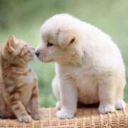 ヒメ日記 2026/02/19 23:42 投稿 りりん ラブハーレム(水戸)