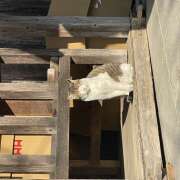 ヒメ日記 2026/02/22 16:05 投稿 りりん ラブハーレム(水戸)