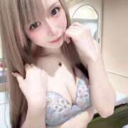 ヒメ日記 2025/02/12 13:17 投稿 りく Я’s SPEC2