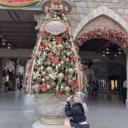 ヒメ日記 2025/12/07 07:31 投稿 りく Я’s SPEC2