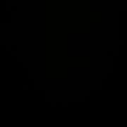 ヒメ日記 2025/12/20 07:46 投稿 りく Я’s SPEC2