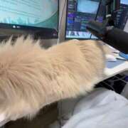 ヒメ日記 2026/01/19 20:06 投稿 りく Я’s SPEC2