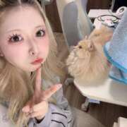 ヒメ日記 2026/01/24 07:28 投稿 りく Я’s SPEC2