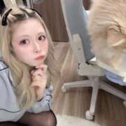 ヒメ日記 2026/01/26 18:57 投稿 りく Я’s SPEC2