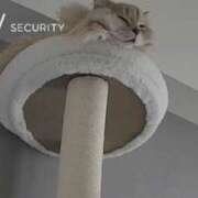 ヒメ日記 2026/04/07 11:49 投稿 りく Я’s SPEC2