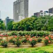 ヒメ日記 2025/05/18 08:12 投稿 稲葉ほのか ミセス大阪日本橋店