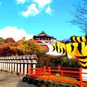 ヒメ日記 2025/11/22 08:24 投稿 稲葉ほのか ミセス大阪日本橋店