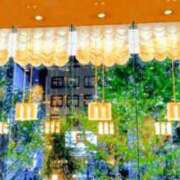 ヒメ日記 2025/11/27 08:50 投稿 稲葉ほのか ミセス大阪日本橋店